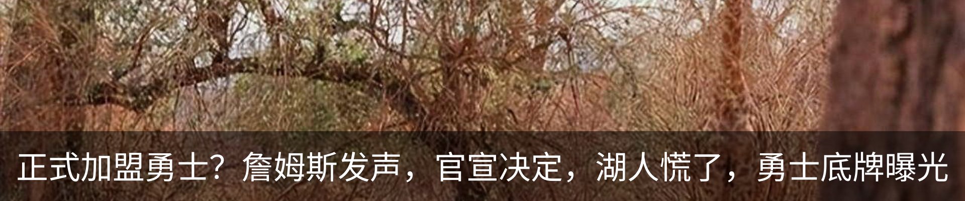热点资讯